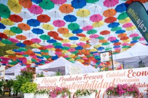 Feria KM.0 Gran Canaria FONTANALES 2026